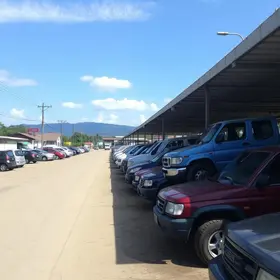 leilão de veículos