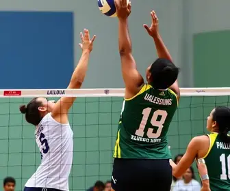 Campinas Paulista Vôlei Masculino