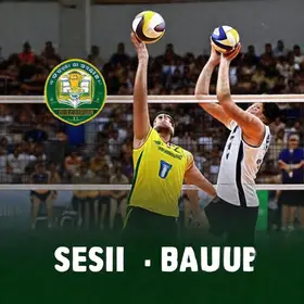 Paulista masculino de vôlei
