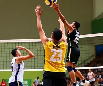 Paulista de vôlei masculino